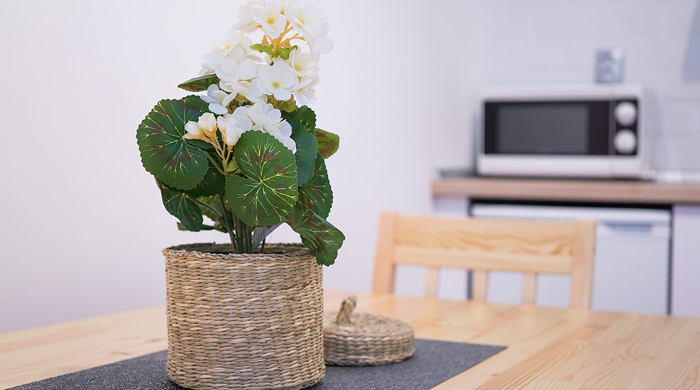 perfect-stay-white-studio